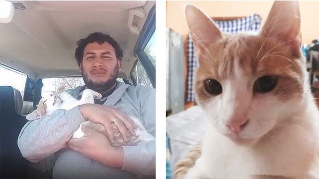 Conmovedor relato de un joven cuyo gato murió en la castración en Zoonosis de Paraná