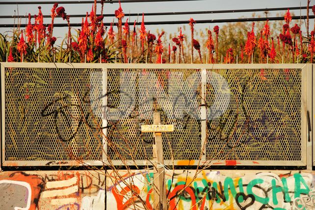 Fotoperiodismo: análisis local de la Tragedia de Once