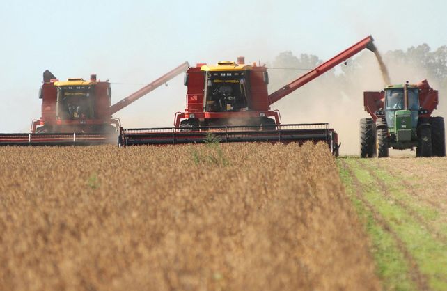 Santa Fe: por la sequía proyectan recorte en la producción de soja