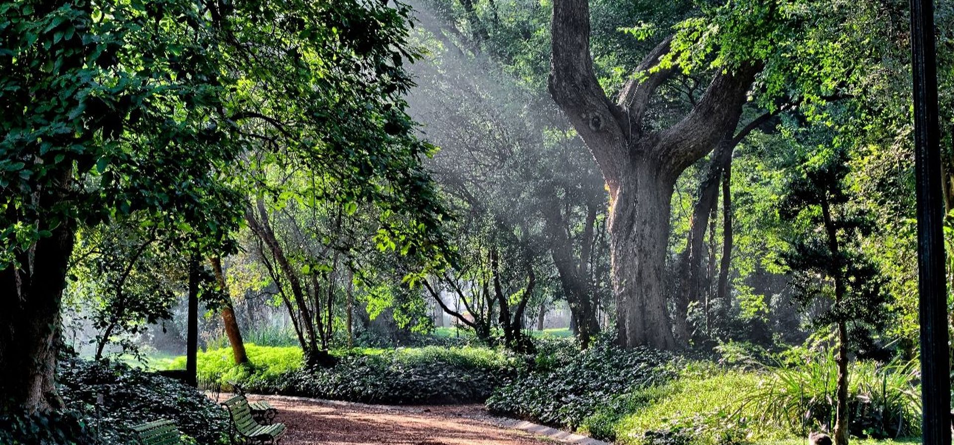 Proponen crear un jardín botánico con un parque de mariposas en Rosario