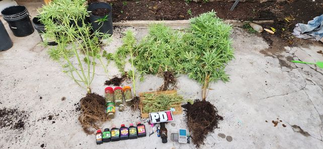 Además de marihuana secuestraron armas y dinero