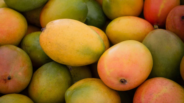 El mango es una fruta jugosa con buena variedad de beneficios
