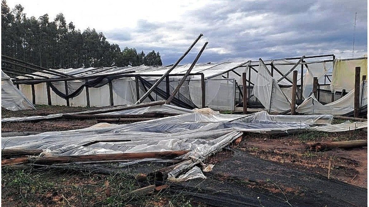 Temporal en La Criolla: a los viveros les llevará meses poder recuperarse
