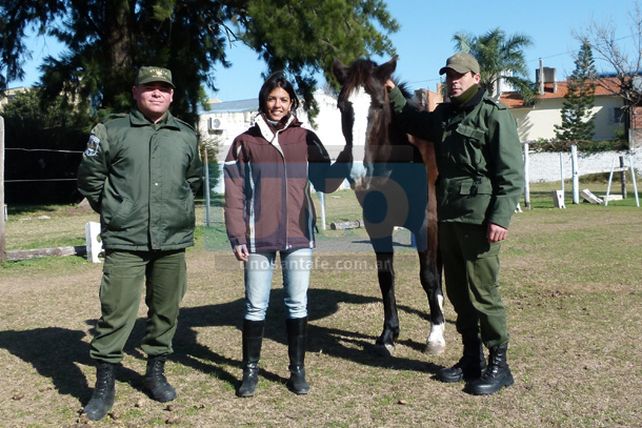 La policía rescató a Morena, la yegua robada en la Sociedad Rural