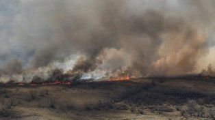 Incendios en el Delta: revocan el sobreseimiento de Rufino Baggio y 42 imputados