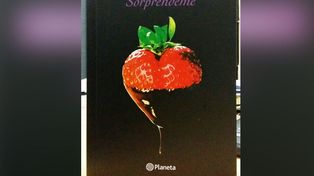 Este miércoles pedí la novela de Megan Maxwell