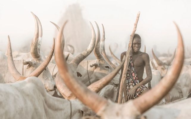 El pastor de ganado mundari