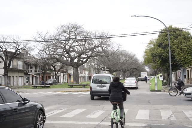 Bulevar Seguí será un gran parque lineal con pavimento a nuevo