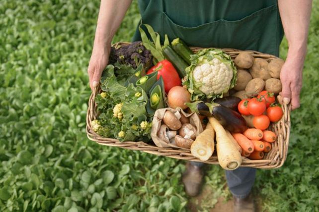 El proyecto de ley para promover la producción orgánica obtuvo dictamen favorable en la comisión de Agricultura de la Cámara de Diputados.