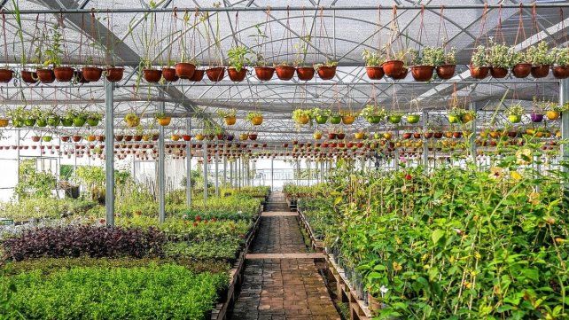 Las lluvias fuera de los habitual están impactando en el ciclo de las plantas