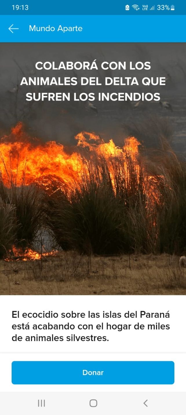 Incendios en las islas: lanzan una campaña para evitar que atropellen a los animales que huyen del fuego