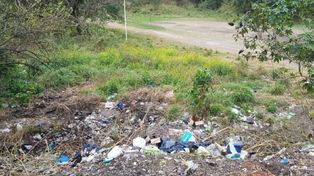 Paraná: perros encontraron un feto en un basural