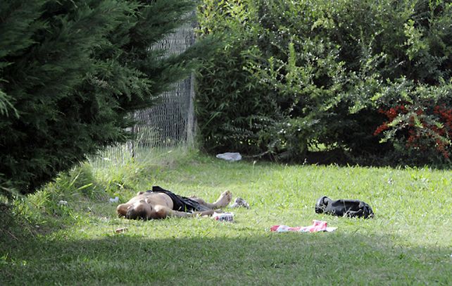 Muerto. El cuerpo de Jorge Verón quedó junto al perímetro de un country. (Foto: S. Suárez Meccia)