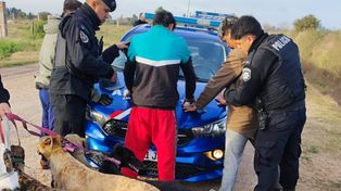Tres cazadores rosarinos detenidos por ingresar en una propiedad privada con 9 galgos en mal estado.