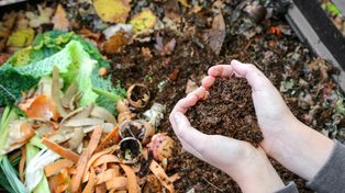 &nbsp;El programa busca generar políticas públicas y promover acciones para el cuidado del ambiente.