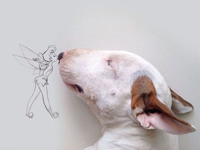 Su esposa lo dejó, pero creó un mundo con su perro