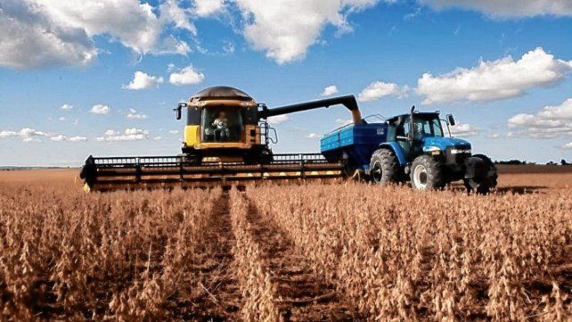 Los rendimientos de la soja en Santa Fe están a la baja