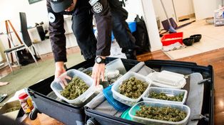 Entre lo secuestrado en los allanamientos había una importante cantidad de marihuana.