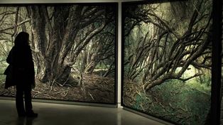 El Museo Juan B. Castagnino exhibirá en Rosario una obra millonaria del grupo Mondongo.