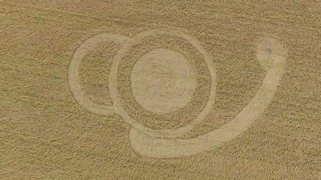 Nuevas marcas extrañas en un campo de Malabrigo