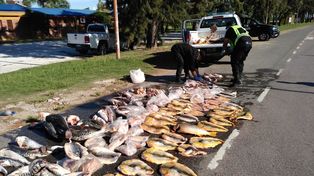 La totalidad de los peces depredados fueron desnaturalizados por incineración.