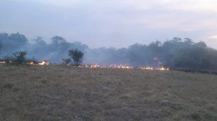 Entre Ríos, Neuquén y Corrientes registraron focos de incendios forestales activos, este domingo, según el SNMF