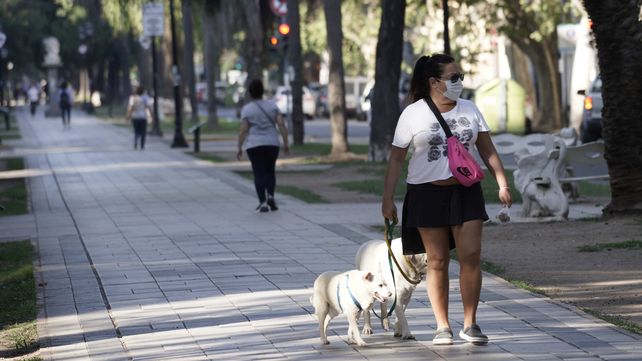 Este jueves llegó con una mañana muy húmeda y cálida