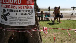 Investigan si el cadáver de un hombre hallado en la costa de Quilmes es de un rosarino