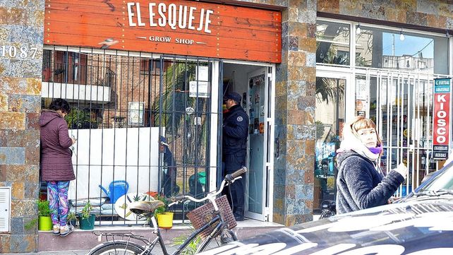 Piden enviar a juicio a un activista por el cultivo de plantas y tenencia de cannabis