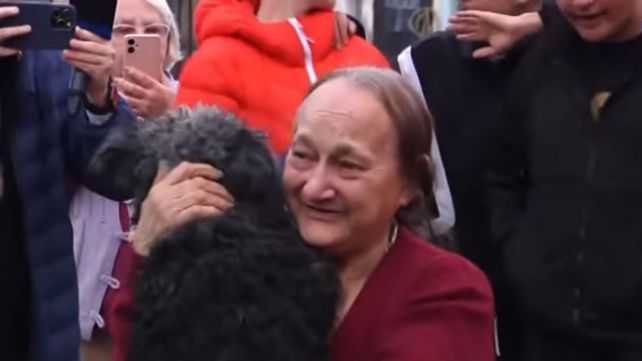 El perro se reencontró con su dueña.