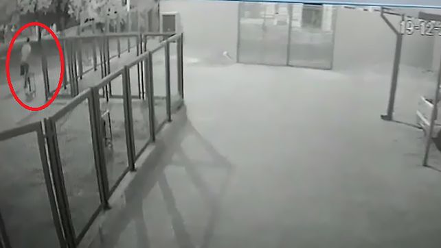 Cámaras de seguridad captan robo de reflectores del Centro de Salud Illia de Paraná. Denunciaron faltante de palmeras de los macetones de avenida Ramírez