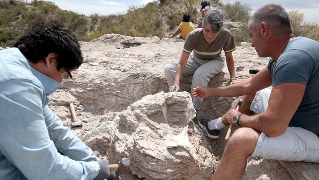 Una chica halló restos de un Titanosaurio de 85 millones de años en Neuquén