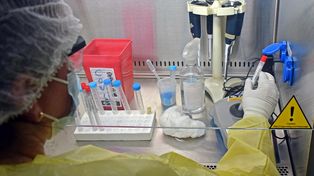 Pandemia: los afectados llegan a 3.435 personas y los muertos a 165
