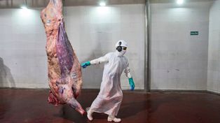 El consumo de carne bajó a niveles récord y en Rosario hay un boom del cerdo