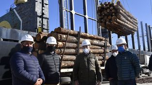 Bordet: &ldquo;Estoy muy satisfecho porque hoy aqu&iacute; hay cerca de 100 operarios que trabajan en el puerto y en un momento complejo es una gran ayuda.&nbsp;
