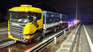 Un camionero esquivó a un perro