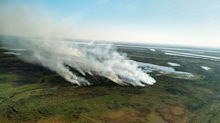 Delta: Brigadistas siguen combatiendo focos de incendios&nbsp;