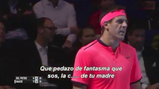 El inesperado insulto de Del Potro a su rival por simular y enfriar el juego