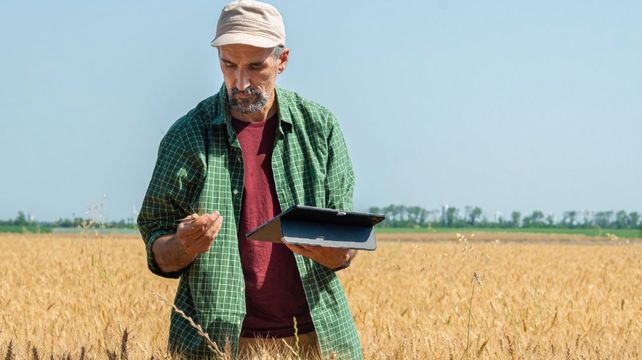 Financiamiento. Es creciente la adopción de herramientas digitales por parte de los productores para financiar insumos y capital de trabajo.