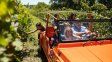 Pancho Dotto apostó al Malbec y convirtió su chacra de Entre Ríos en un viñedo Pancho Dotto apostó al Malbec y convirtió su chacra de Entre Ríos en un viñedo