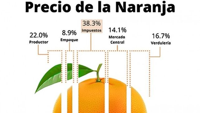 El Estado se queda con el 40% del precio de la naranja, y solo el 20% es del productor