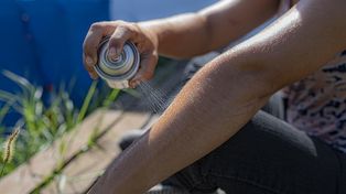 Confirmaron caso de dengue autóctono