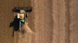 La agroindustria lidera la inserción internacional de la mitad de las provincias argentinas