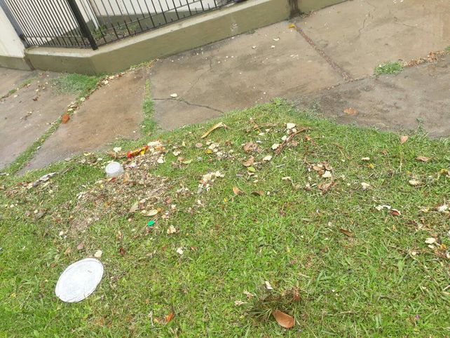 Sorpresa y malestar: apareció grasa en descomposición en las bocas de tormenta