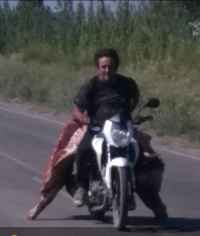 Así saqueaban un camión que transportaba carne y por esquivar una moto, volcó