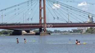 Volvieron los ataques de palometas en la Costanera Este: varios bañistas resultaron heridos