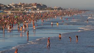 La Costa Atlántica se llenó de turistas en un momento de pleno desarrollo de ejemplares de tapiocas.
