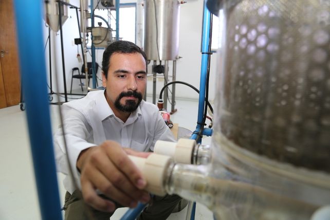 Investigan plantas del Noreste argentino con fines medicinales