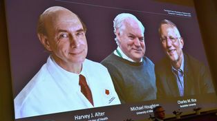 Nobel de Medicina a los descubridores del virus de la hepatitis C