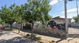 Un nene de 5 años con discapacidad salió solo de un jardín en Bº Las Flores y su madre exige explicaciones: No saben cómo pasó y peligró su vida